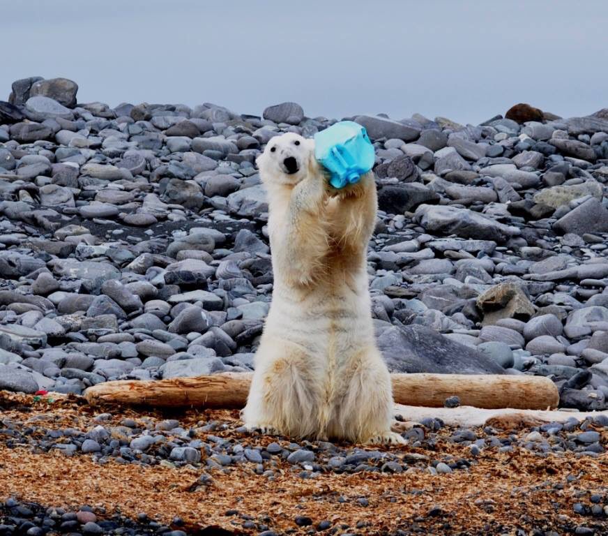 g_expedition's tweet photo. We hate plastic! #cleanupsvalbard #gadvcares #oceanhealth needs everyone's efforts - in all countries please!!! https://t.co/rNs9zV6BXS