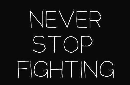 aesthetics tweet media