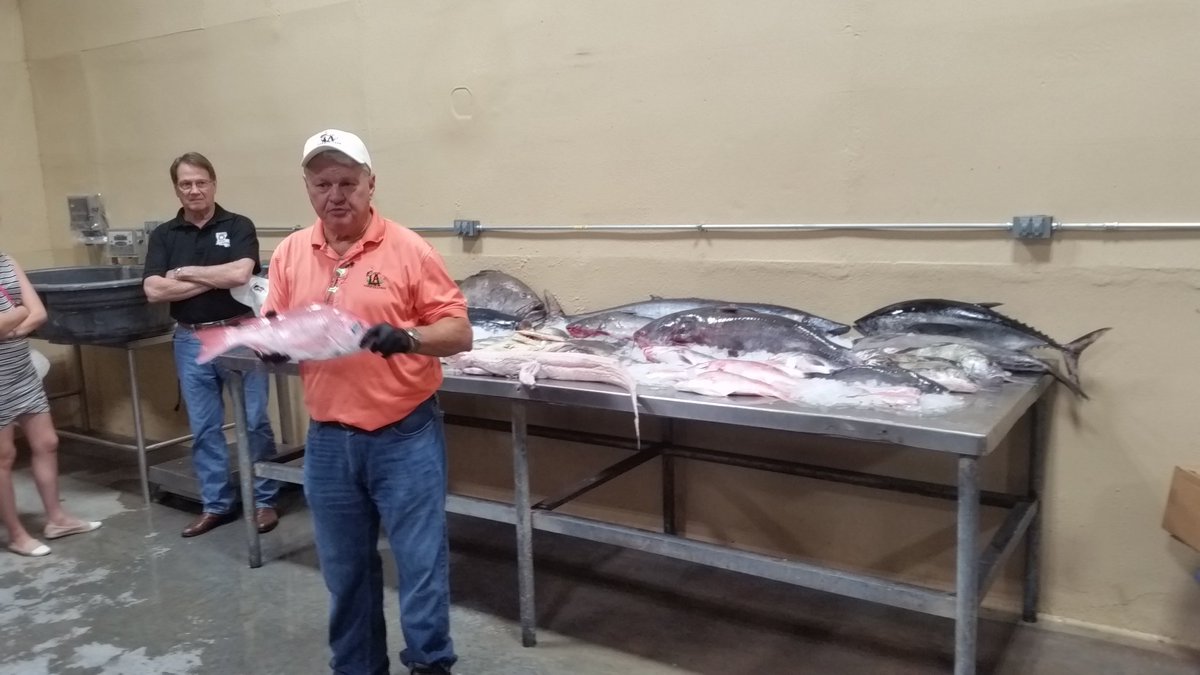 benmitchell504's tweet photo. Getting Schooled on #Louisiana finfish from @LAseafood @LaSeafoodBoard @LouisianaTravel @FoodLouisiana https://t.co/EYjNglf0BX