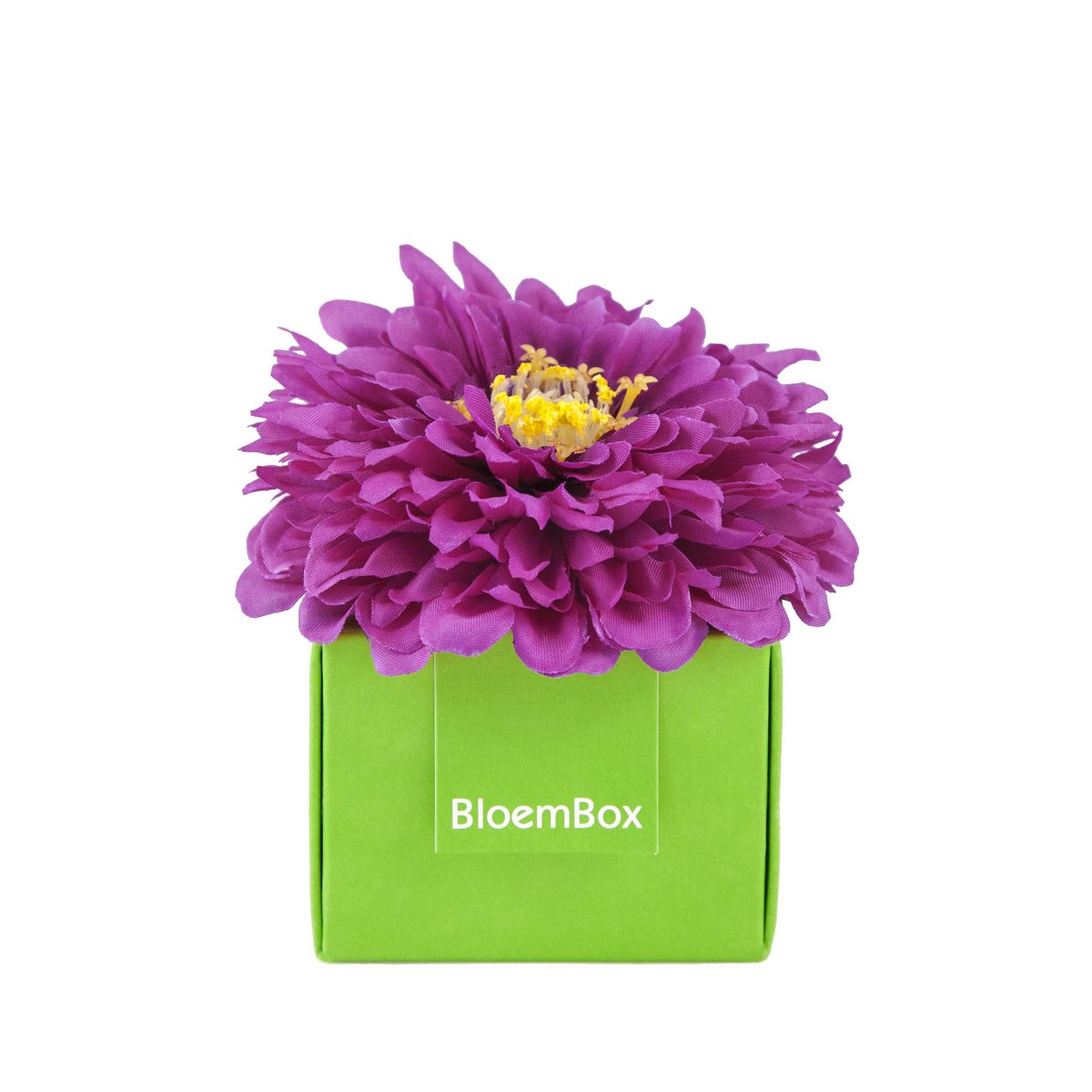 BloemBox's tweet photo. A unique #flower that likes the heat is the Cactus Zinnia. #GreenGifts #GiftsThatGrow #Garden #Blooms https://t.co/52vbGQz13K