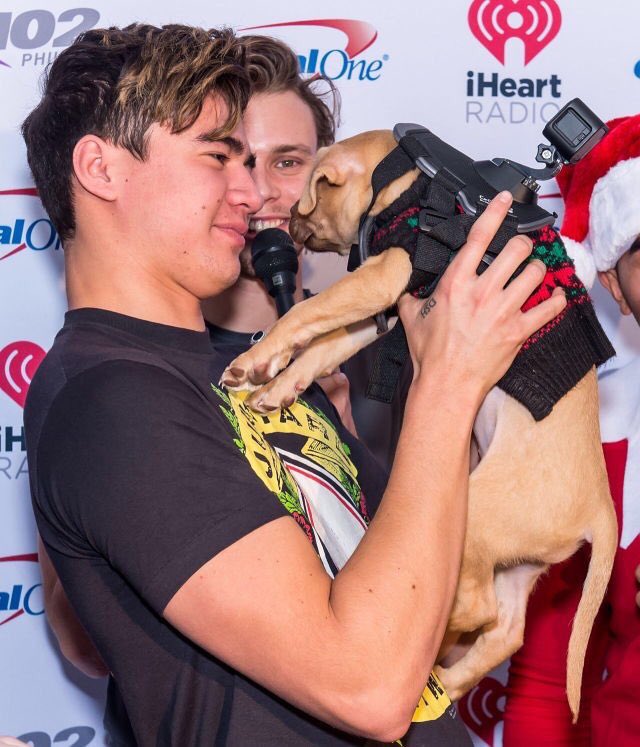 calumfeatures's tweet photo. the resemblance is crazy https://t.co/4fhDjdDYjf