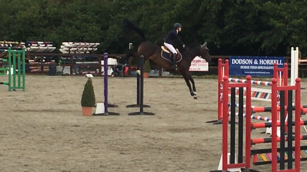 Luluwarren1's tweet photo. So crazy proud of Dera B today jumping double clear for 2nd in her first 1.30😍Hard work pays off 🐝💥 https://t.co/CroYJoUrCz