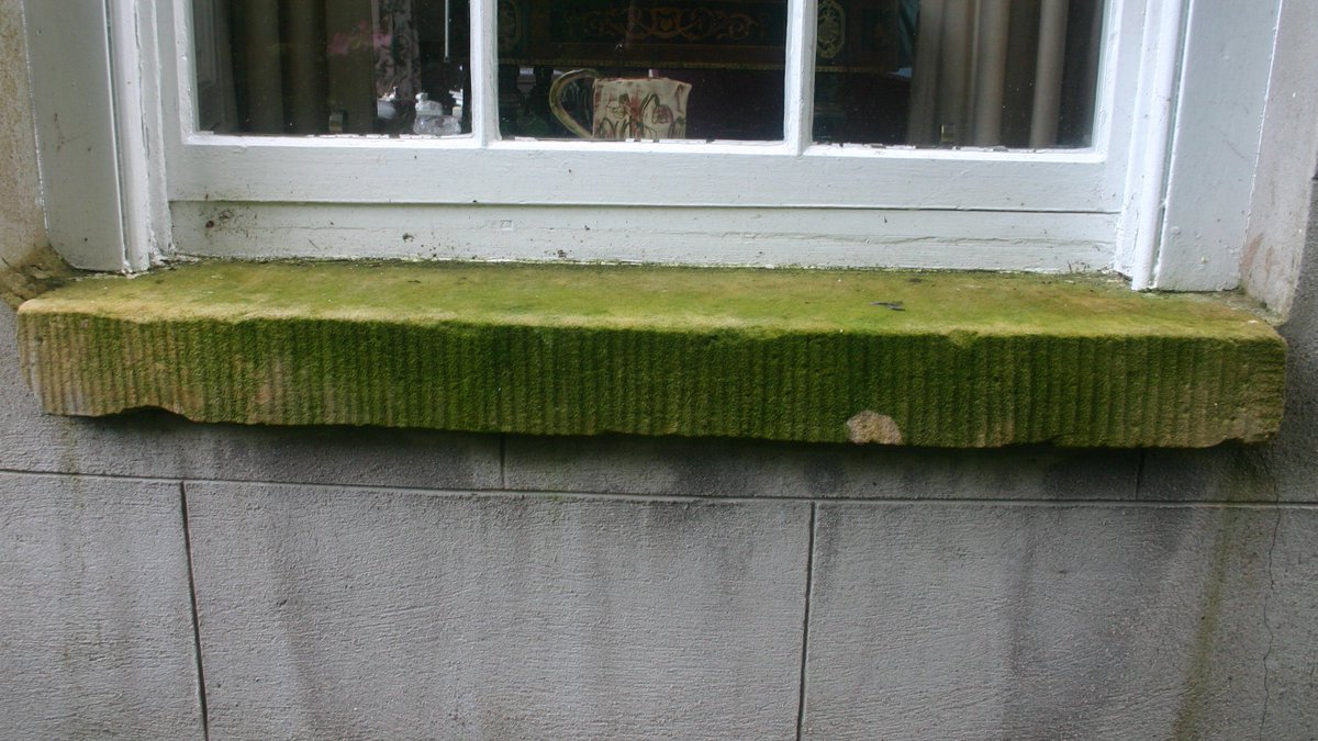 redgablecleaner's tweet photo. Cleaning up Galway. Softwash. No damaging power washing. No harmful chemicals.
#removethered
@galwayhour @OLavelle https://t.co/cyZaZFutkJ