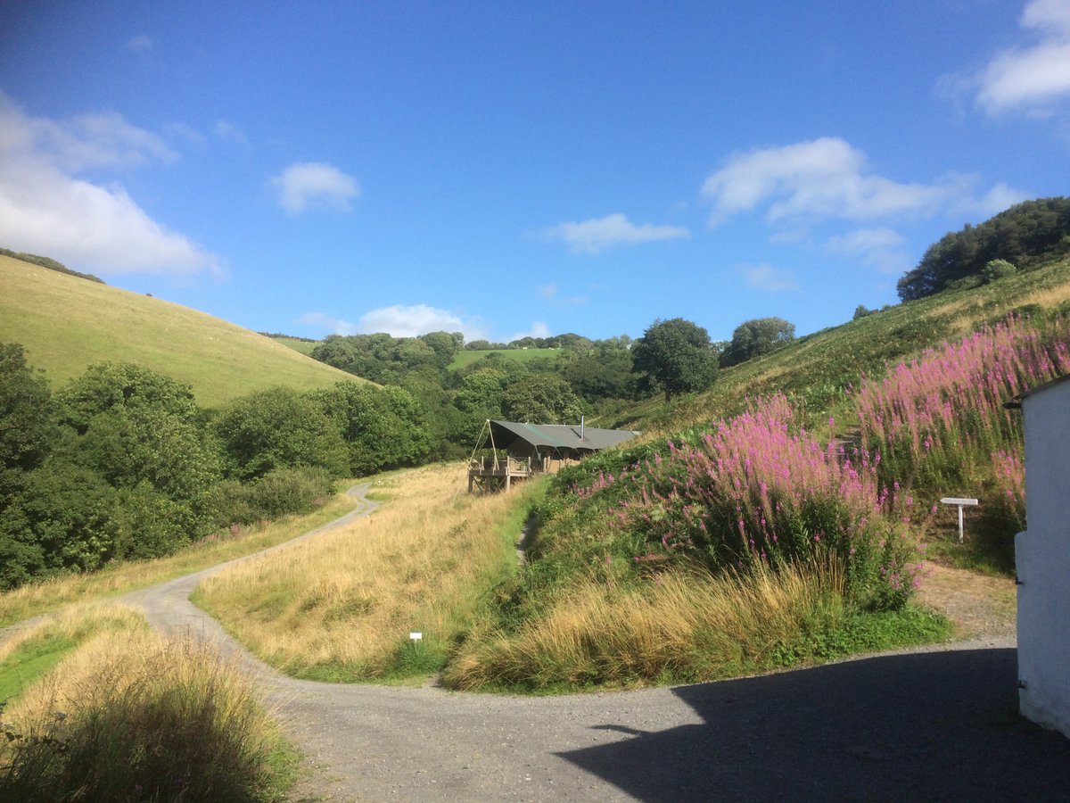 Lundy basking in today's sunshine. Wonderful wildflower displays throughout our season bit.ly/LDWildflower