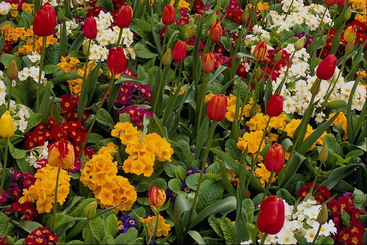 hassanhadi019's tweet photo. @nilgunm75 @cd_helen @isabelsilva906 @BlueShadow_73 @garymed https://t.co/e34QiWkS0u