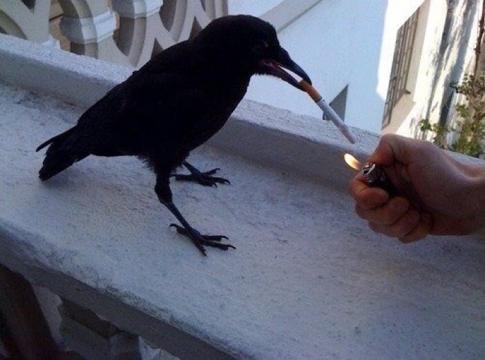 Edgar Allen Poe? haven't heard that name in years