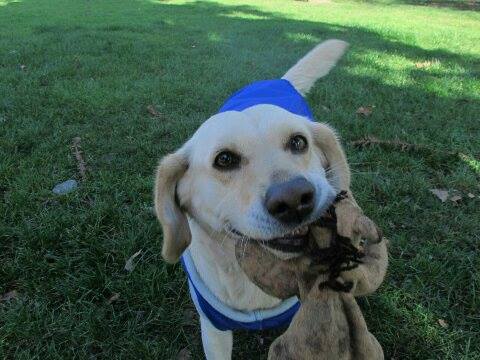 Abandonados Parque tweet media