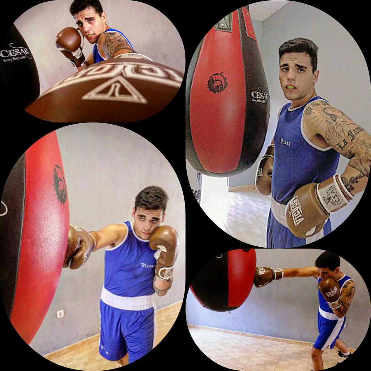 AlbertoAlemanJr's tweet photo. #CesarContact y #ChicoGuapoPromotios apuestan por mi futuro en el terreno del #Boxeo Profesional. https://t.co/HjKRD8HqKm