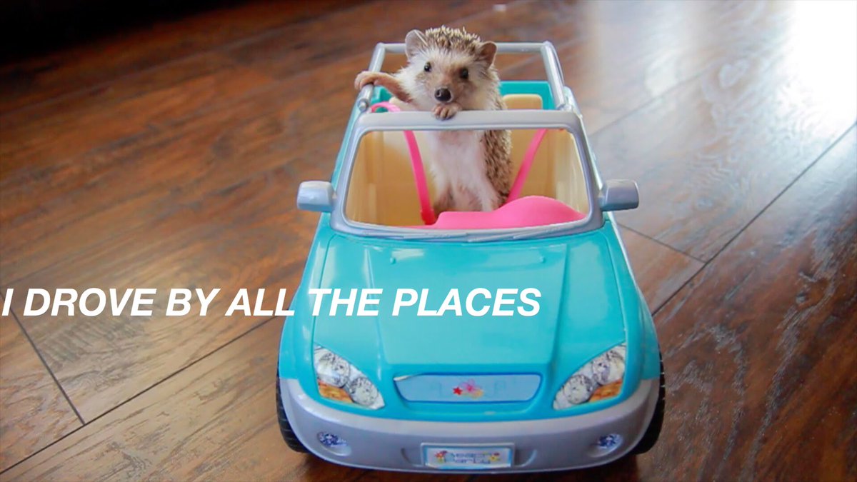 HEDGEHOGLYRICS's tweet photo. amnesia - 5 seconds of summer https://t.co/tNZTVZClwe