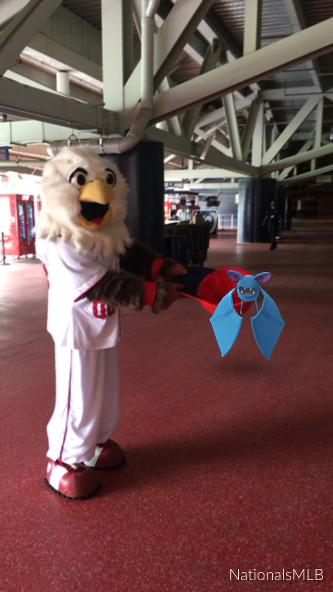 Nationals tweet picture