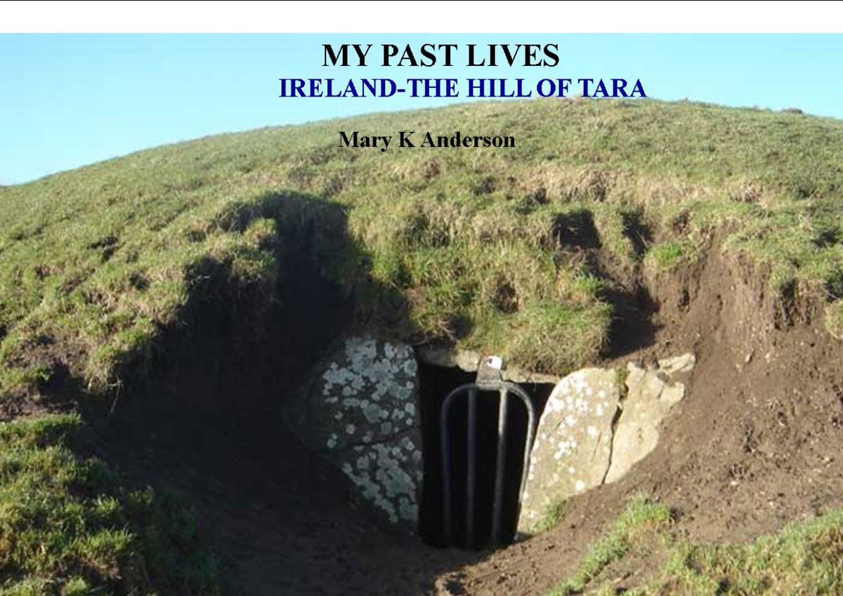 vibeinstitute's tweet image. My book is out soon, pre-order on my website as special price now: vibrationalinstitute.com #DigiPulse #womensinspire