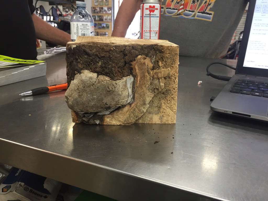 markhammower's tweet image. Customer brought this into show us. Found a rock grown into the crotch of a tree @STIHLCanada #sparkswereflyin