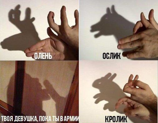Cpcny9KWAAAjOSk.jpg