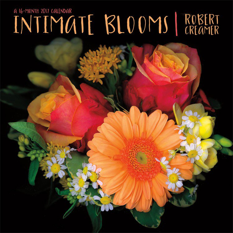 intltrends's tweet photo. Robert Creamer creates some beautiful photographs of flowers. #WorldPhotoDay #DateWorks #Calendar https://t.co/sDHy6xPVnM
