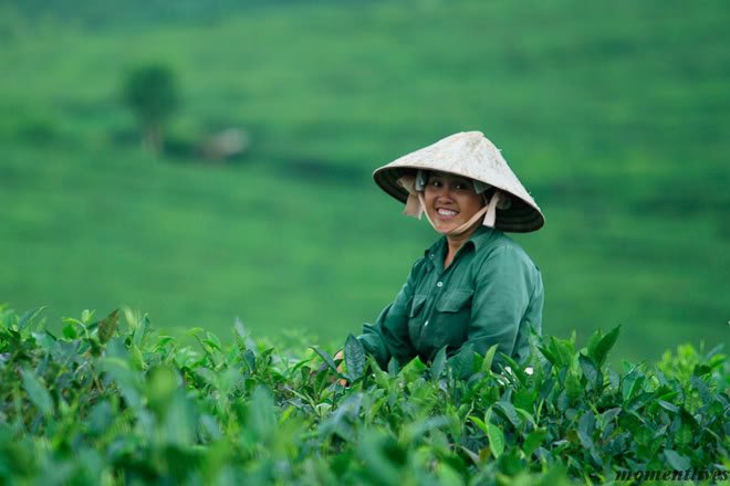 SefcikRon's tweet photo. Smile at the locals when you travel, smiles are universal!! #traveltips #writerslife #abroad #travel https://t.co/JfIy0bFz3F