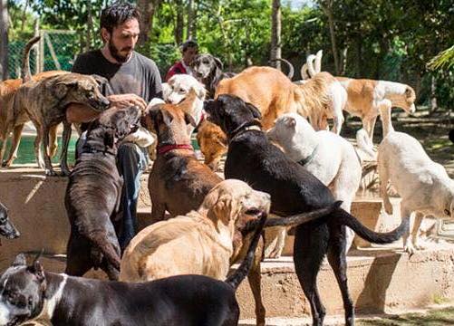 Tierradanimales's tweet photo. Te invitamos a involucrarte #AdoptaNoCompres #EsterilizaNoCruces #DaHT #SeVoluntario #Dona #Apoya #SePartedelCambio https://t.co/FXp8DB9arv