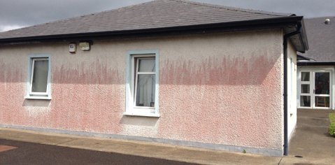 redgablecleaner's tweet photo. IDEA:Nomination to find the reddest house in Galway. SOFTWASH. Not powerwash. No bleach. #removethered @CaitNoone https://t.co/m5MGEerSOT