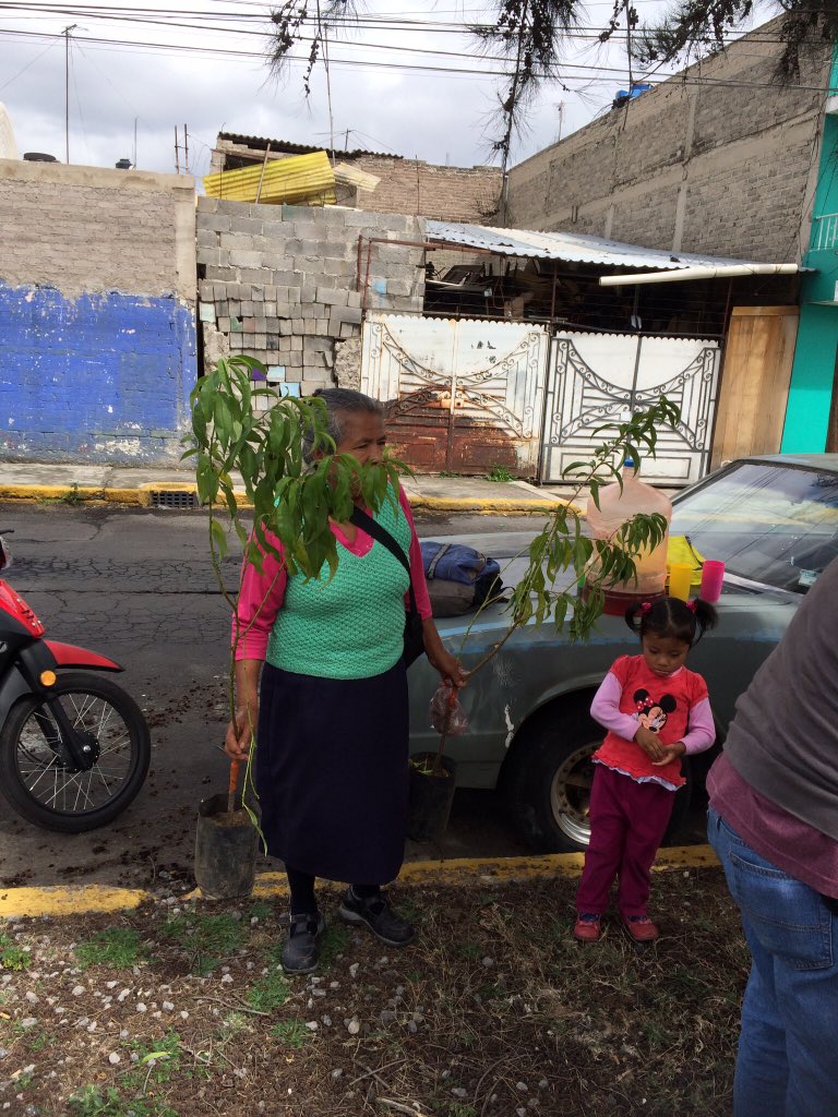 NezaEcologia's tweet photo. La dirección de Medio Ambiente. En la forestación y huertos urbanos en calle cerezos y norte 1 colonia la perla https://t.co/aj0p3Fcqe5