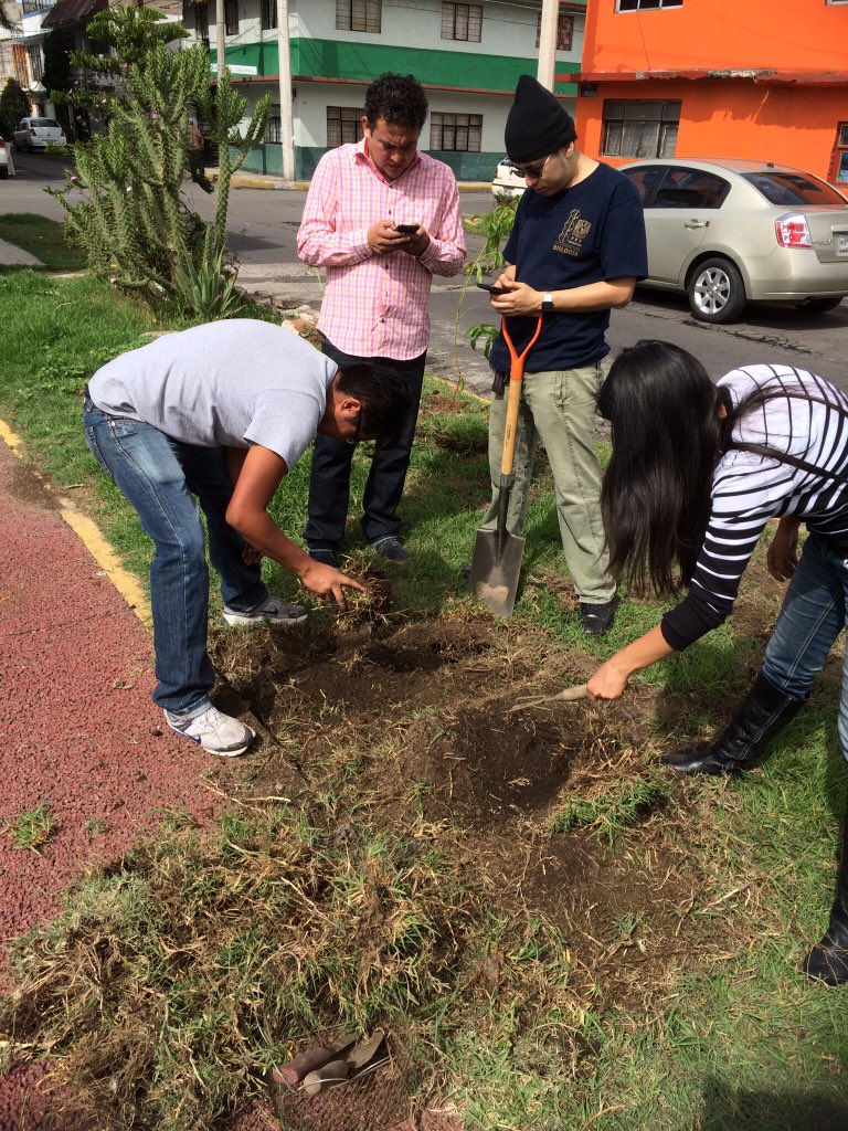 NezaEcologia's tweet photo. La dirección de Medio Ambiente. En la forestación y huertos urbanos en calle cerezos y norte 1 colonia la perla https://t.co/aj0p3Fcqe5