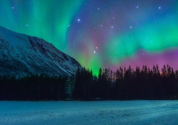 naturenchill's tweet photo. The northen lights are on a whole nother level 😍 https://t.co/a4k4BCNJsH