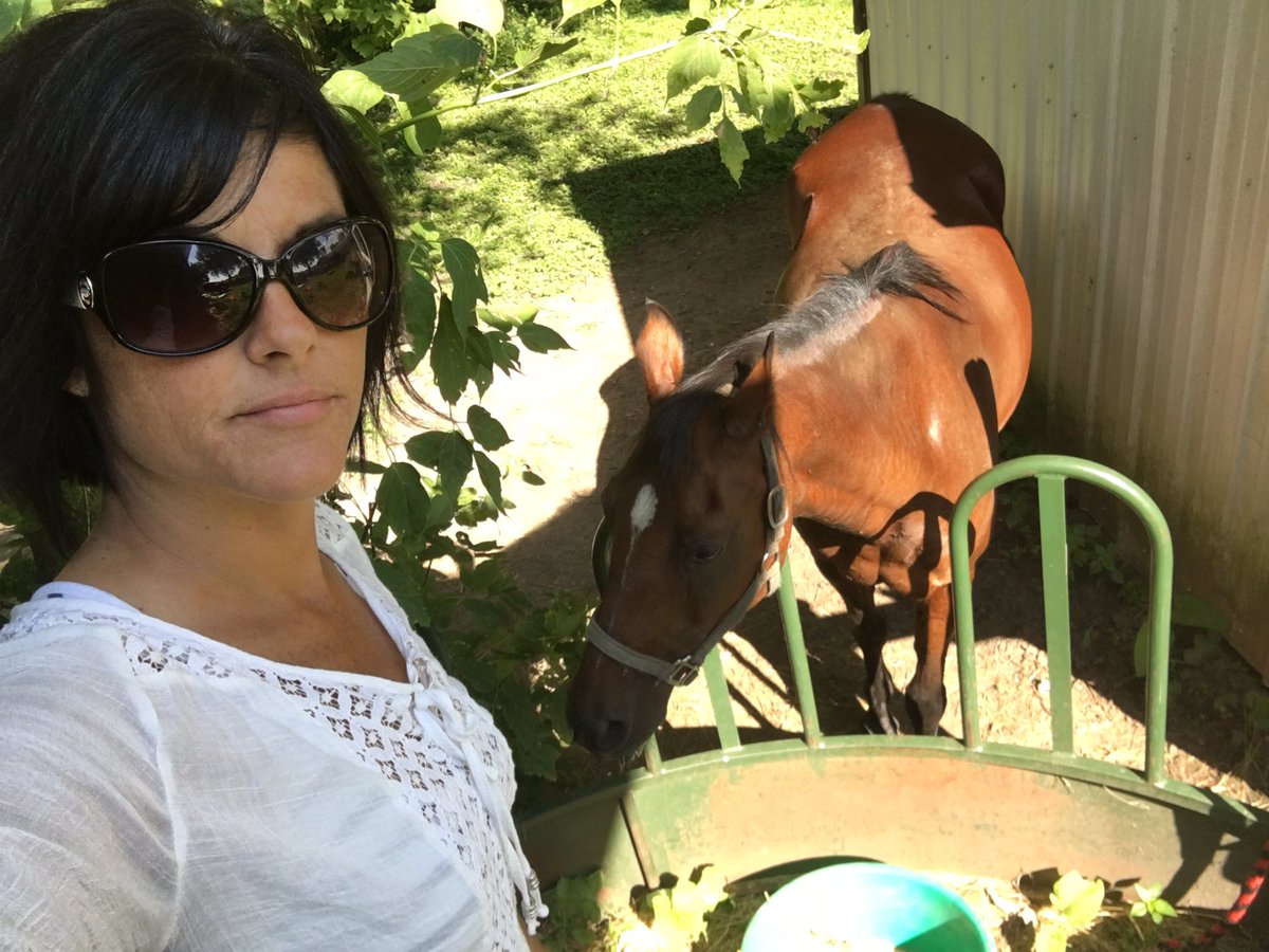 theburger4's tweet photo. Who put me in charge of feeding the horse? 😳 #farmernikki #wheresthekids #busywithfriends https://t.co/VQA8dCcNBM