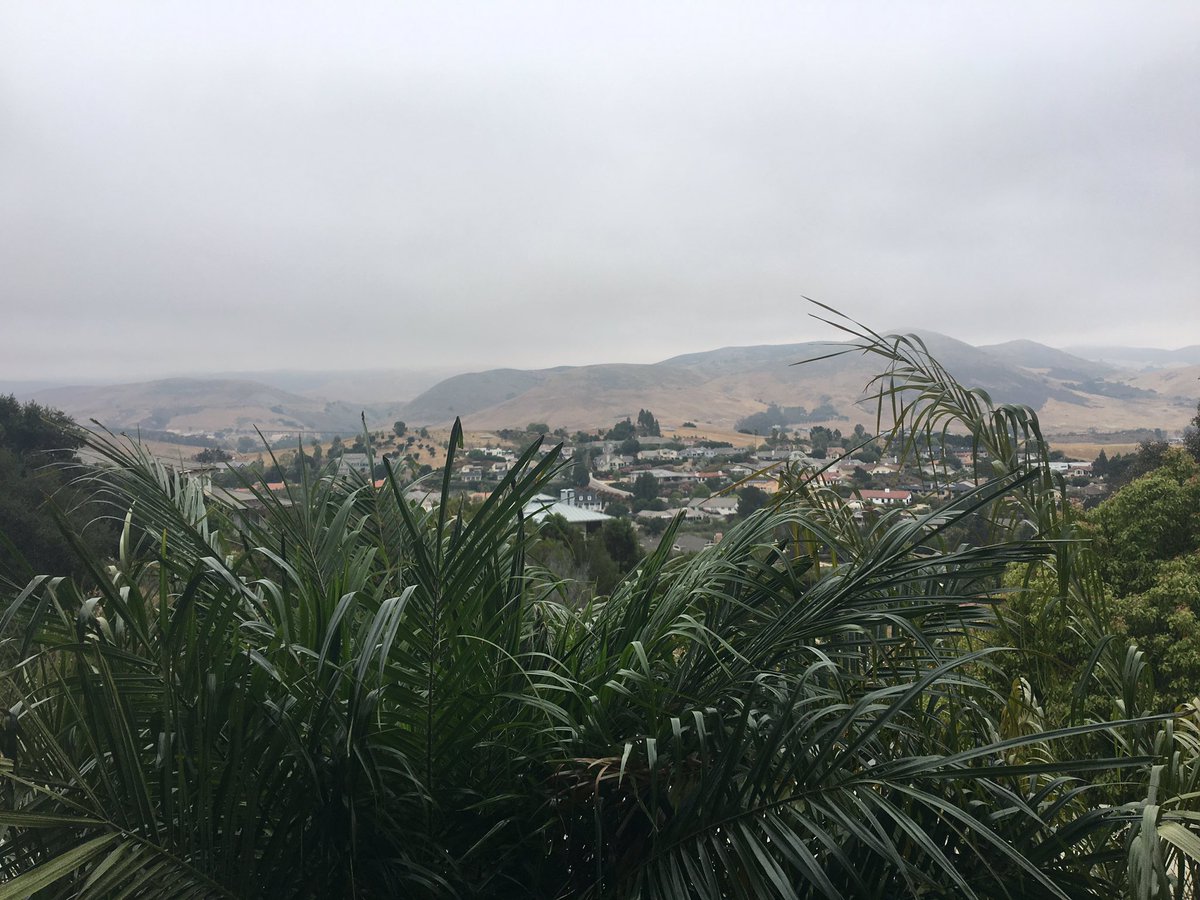 CLangley805's tweet photo. Mornings views... #SLOlife #homesales #slorealtor #805homes https://t.co/3do7DEbCxl