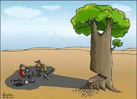 705fdd55db3f447's tweet photo. "@DammarJagri7075: #saveforest_savelife.. https://t.co/nYTrqvfFkg"
मान्छे उपयोगबादी बन्यो । यो हालत पछि पनि उ रुख रोप्ने अभियानमा लाग्दैन ।