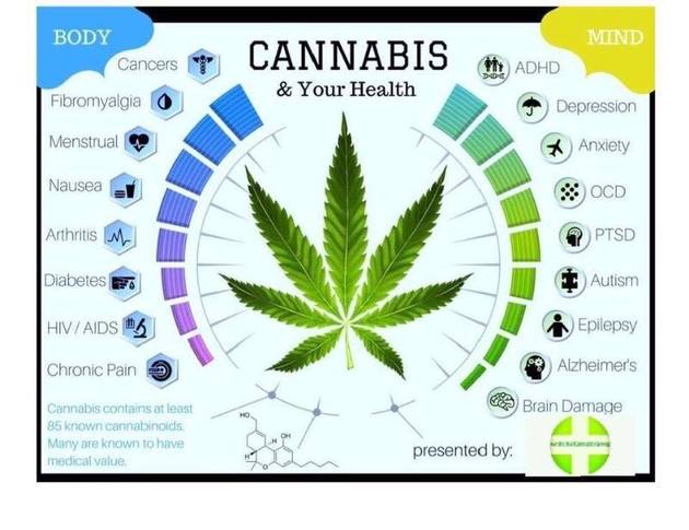 cannaadvisors's tweet photo. We agree with @HuffingtonPost. It's time for the media to correct its #cannabis lexicon. https://t.co/WCN54v1i34 https://t.co/waUztC41vZ