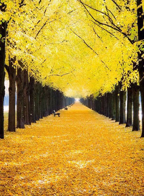 aesthetics tweet media