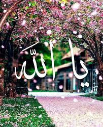 ضيجه وبس يمك الفرج 
 يا الله 
      يا الله 
           يا الله