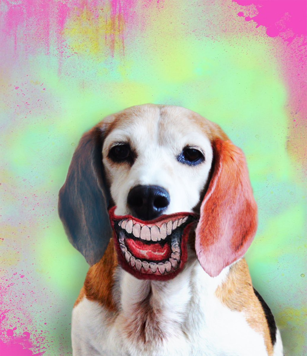 CuteGrapefruit's tweet photo. Newest member of #SuicideSquad https://t.co/gGOeIyhxBT