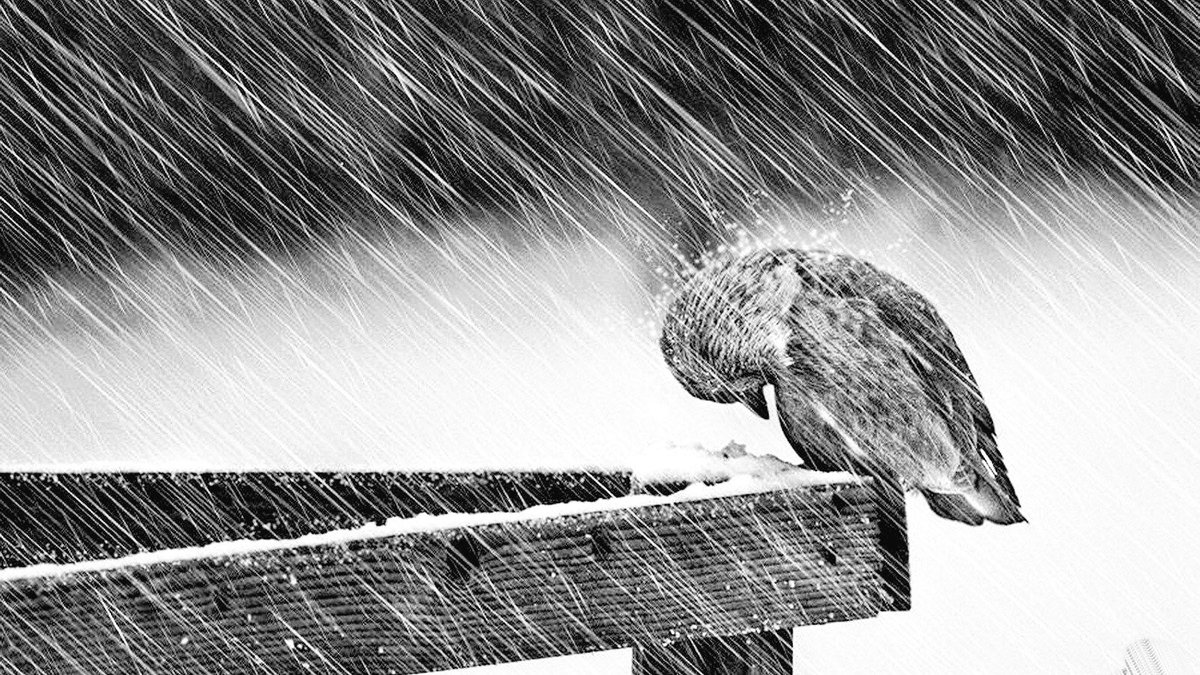 aesthetics tweet media