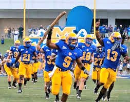 monkey5man7's tweet image. Mcneese state university cowboys its official