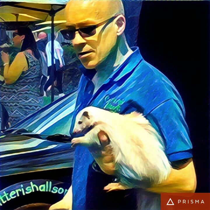 CritterishUK's tweet photo. Hoo the #ferrret and #skittles the #skunk with my new #app @PrismaAI #love it #animals https://t.co/NRIfqlilQD https://t.co/l4yuXqUPDp
