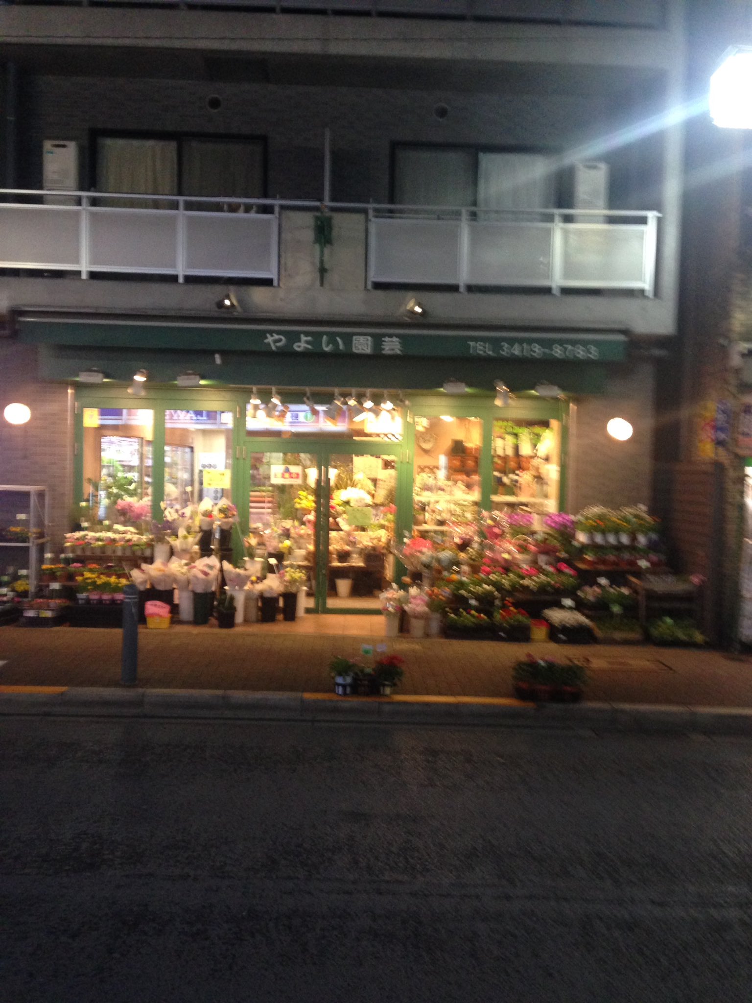 リゼルリィp 10 10 Let S Bloom 徒然なるままに しぶりんの実家は花屋さんですがここでそのモデルとなったお店を再掲しておきますね 渋谷凛生誕祭16