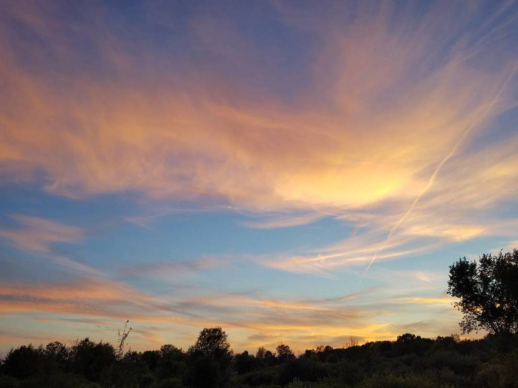 siobahn76's tweet photo. I can't stop taking pictures of the sky tonight #nofilter #sunset #sky https://t.co/qUr88XZ6Gy https://t.co/LPcvzSi9V5