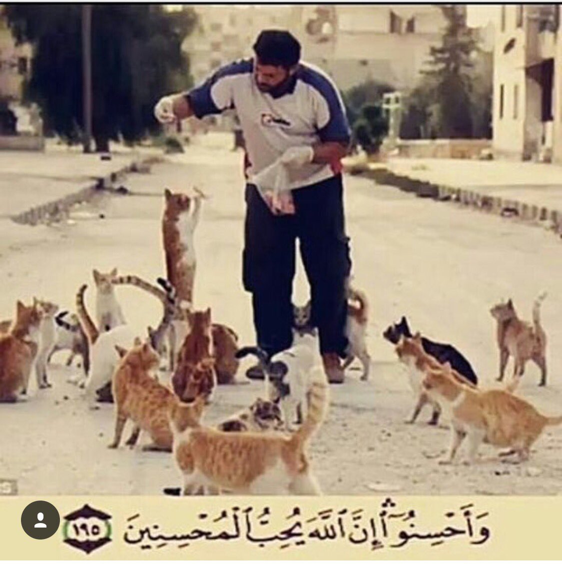 Droob_33's tweet photo. https://t.co/doIOYBU7uu