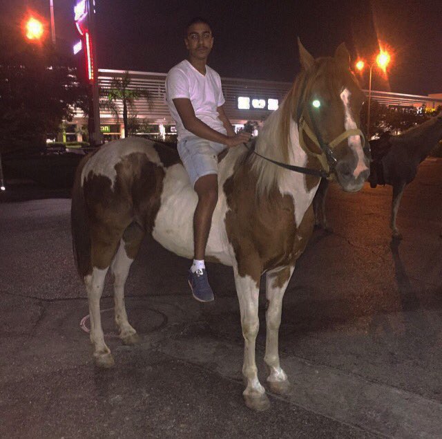 YehudaRon's tweet photo. אחלה לילה👍🏻🐴 https://t.co/N65z57uRdR