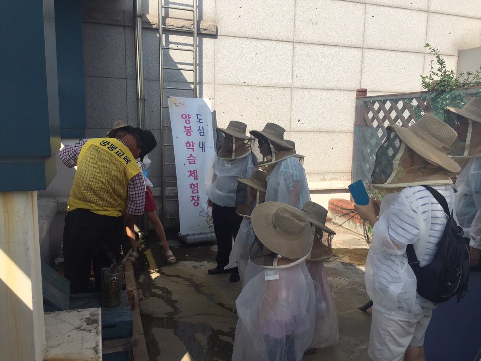 sechanmo's tweet image. 8월10일 (수)꿈나무어린이와 가족들이 도심속에 양봉체험을 하고 있어요~
윙윙 꿀벌생태도 알고 달콤한 벌꿀도 맛보고~ 매주 수요일(8월은 오후4시~5시) 
#성남시 분당구 녹지공원과 (031-729~7592)