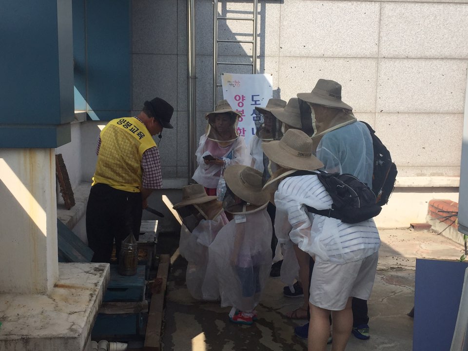 sechanmo's tweet image. 8월10일 (수)꿈나무어린이와 가족들이 도심속에 양봉체험을 하고 있어요~
윙윙 꿀벌생태도 알고 달콤한 벌꿀도 맛보고~ 매주 수요일(8월은 오후4시~5시) 
#성남시 분당구 녹지공원과 (031-729~7592)