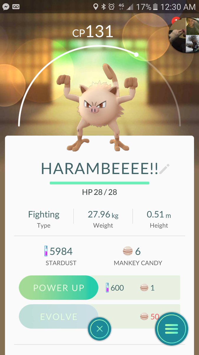 TheTribeIsLive's tweet photo. #harambe #Pokemon #pokemongo https://t.co/Evcmq5TRCz