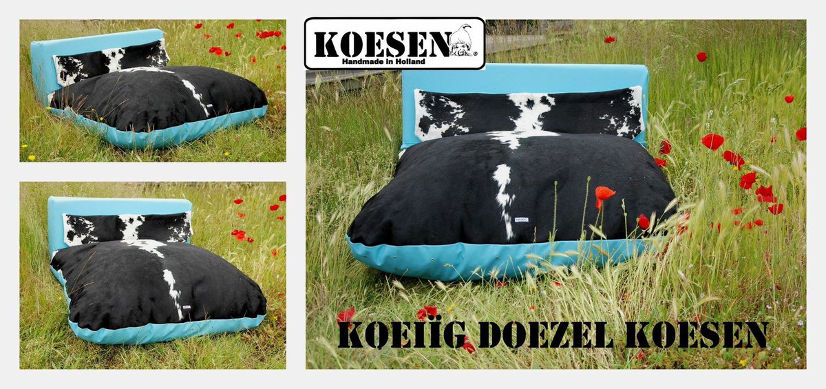 Sneekweek#sneek#bestel voor 14 augustus uw boot kussen#10%korting#maatwerk#boot#waterdicht#sunbrella#viper#marine#