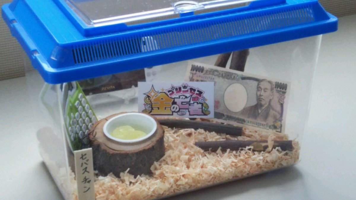 日本一ソフトウェア على تويتر 日本一ソフトウェア 夏のクワガタ観察企画 特設サイトのカウントダウンが終わり 新作のロゴが公開されたッス 特設サイト T Co Kamqxmauib ニコ生 T Co 3czrd0fu0y