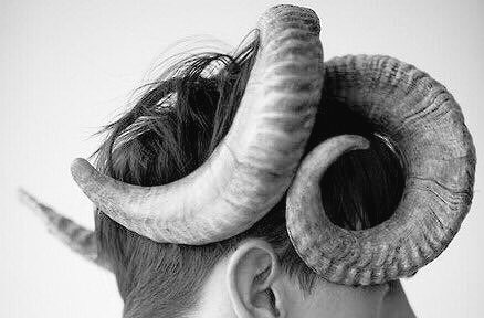 Josephine/Female Adaar