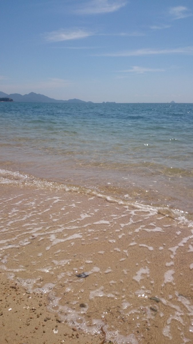 catinside's tweet photo. 向島 https://t.co/j8H9UeB4AZ