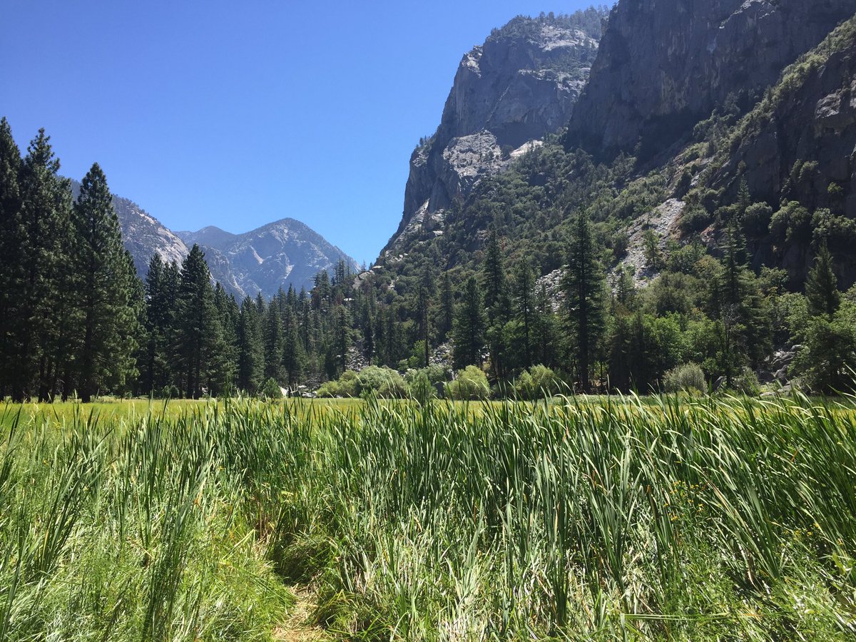 nhi_notknee's tweet photo. Sequoia &amp; Kings Canyon 🍃🌳🌲#iphoneedition https://t.co/cfHFsrwvsf