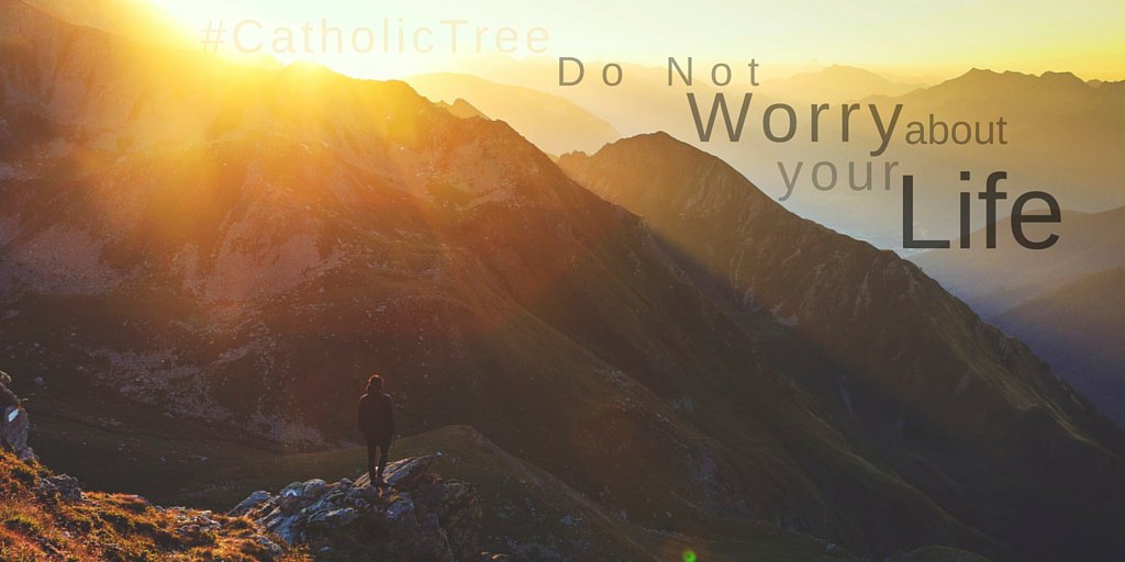ItsCatholicJoy's tweet photo. Don't you worry about anything, instead pray, about everything. #CatholicTree #WednesdayWisdom #PeacebewithYou https://t.co/Gg0eAkY0Ja