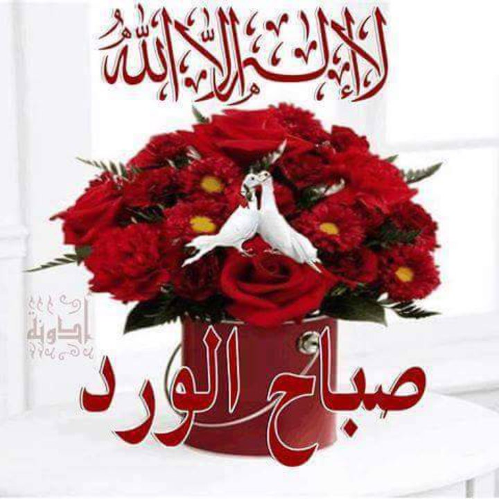 <a href="/tahiamesr/">قيثارة النيل</a> 
اللهم.آمين يا رب
