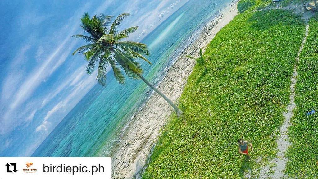 Calanggaman's tweet photo. #kalanggaman #kalanggamanisland https://t.co/eW6ei2Y92s https://t.co/NgNQj8JPh7