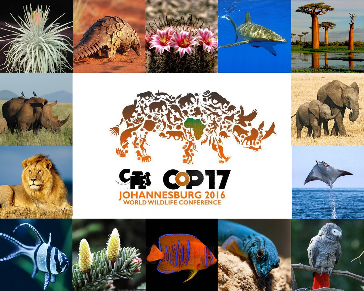 Last day to register to attend <a href="/CITES/">CITES</a> #CoP17 - the World Wildlife Conference! cites.org/cop17